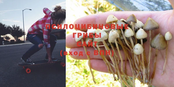 амф Баксан