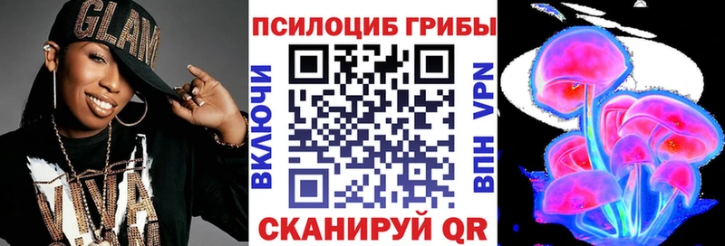Купить где  Саки  Галлюциногенные грибы Cubensis 
